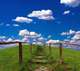 Fotolia_8357181_XS