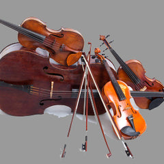 Collection image for: Instrumentenvermietung