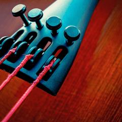 Collection image for: Cello Sonstiges