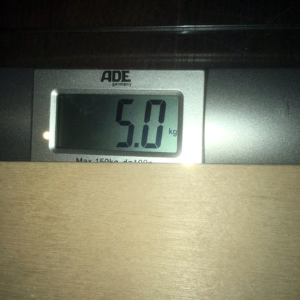 IMG_7947G9elYKQt2Ekot