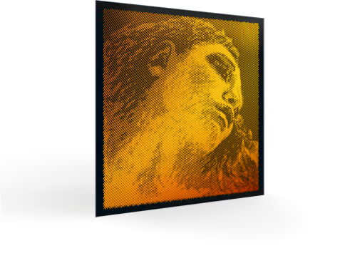 A-Saite Pirastro Evah Pirazzi Gold Violine | Klassikweltshop