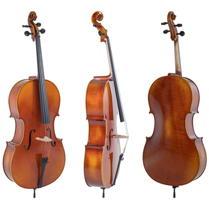 GEWA Cello Maestro 1, spielfertig | Klassikweltshop