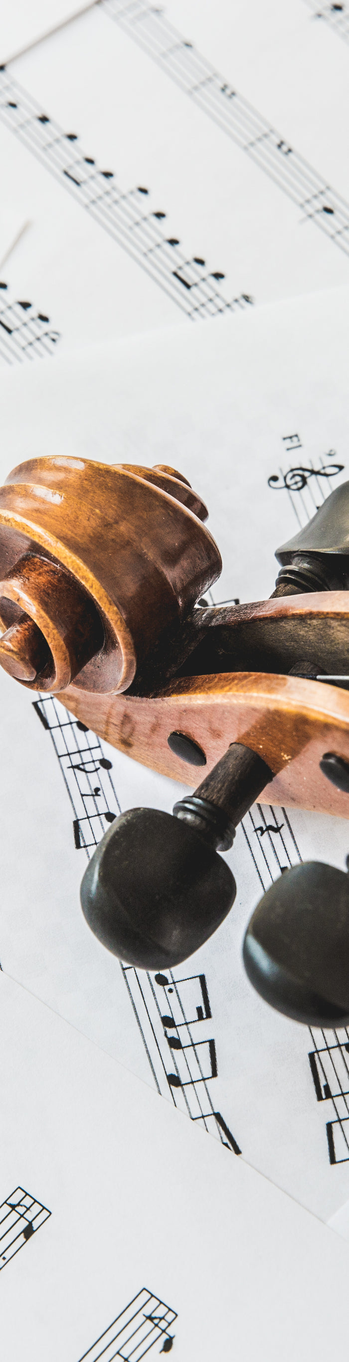 <h1>Die schönsten Ideen für Musikliebhaber.</h1>