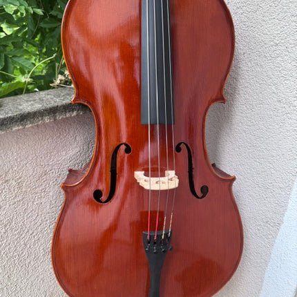 Violoncello, Jay Haide, 4/4 antik, asiatisches Klangholz – Detailansicht 1 | Klassikweltshop