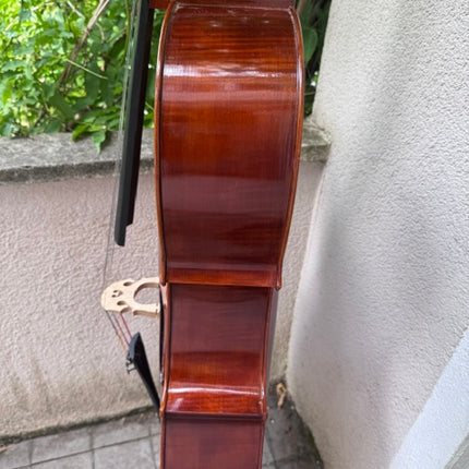 Violoncello, Jay Haide, 4/4 antik, asiatisches Klangholz – Detailansicht 6 | Klassikweltshop