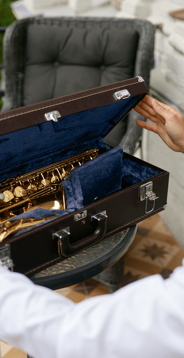 <h1>Der Bodyguard für Ihr Instrument</h1>